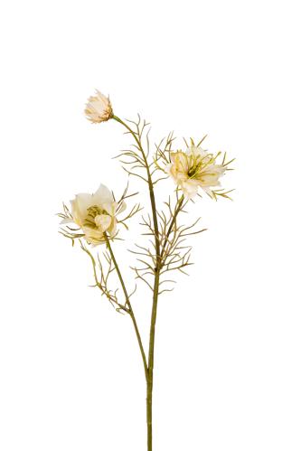 Nigella - Hvit - 55 cm - www.frokenfraken.se