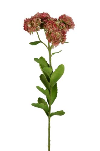Kjærlighetsplante - Rosa - 75 cm - www.frokenfraken.se
