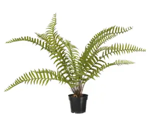 Ormbunke - Grønn - ø100 x 90 cm - www.frokenfraken.se