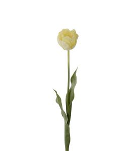 Tulipan - Gul - 67 cm - www.frokenfraken.se