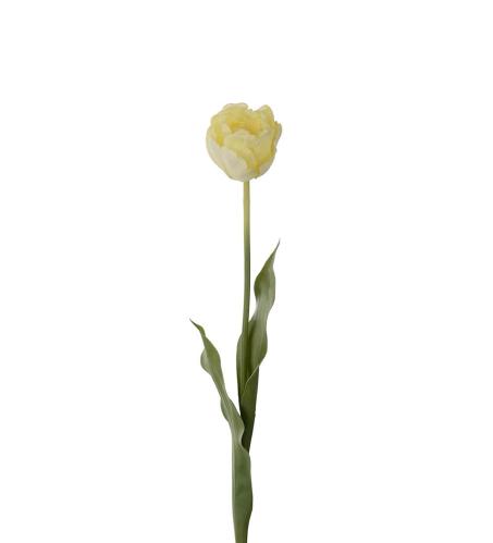 Tulipan - Gul - 67 cm - www.frokenfraken.se
