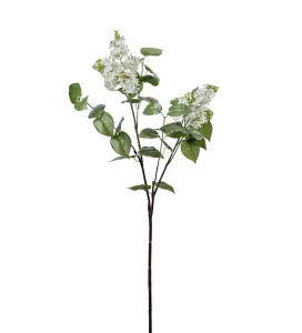 Syrén - Vit - 100 cm - www.frokenfraken.se