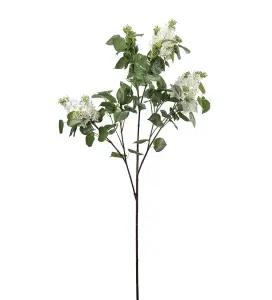 Syrén - Vit - 135 cm - www.frokenfraken.se