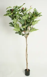 Fikontræd - Konstvæxt - 140 cm - www.frokenfraken.se