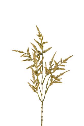 Astilbe - Grønn - 65 cm - www.frokenfraken.se