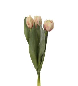 Tulipanblanding - Fersken - 3-pakning - 36 cm - www.frokenfraken.se