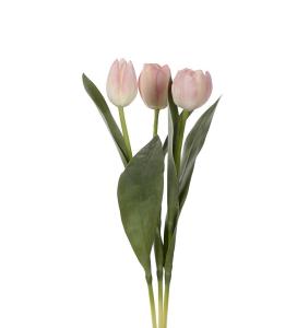 Tulipanblanding - Rosa - 3-pakning - 36 cm - www.frokenfraken.se