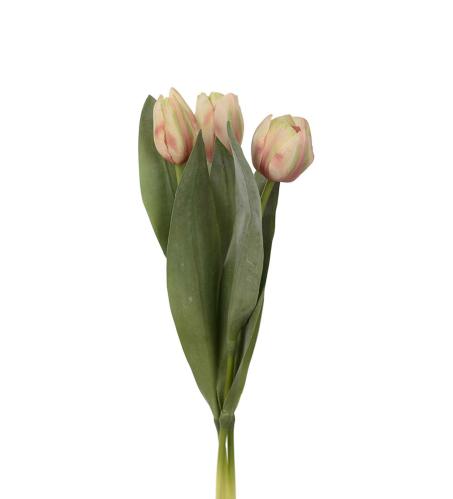 Tulipanblanding - Fersken - 3-pakning - 36 cm - www.frokenfraken.se