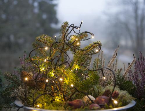 Lyslenke - Utendørs - 180 stk Micro LED varm hvit - 18 meter - www.frokenfraken.se