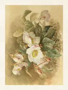 Plakat - Vintage - Julros - 24 x 18 cm - www.frokenfraken.se