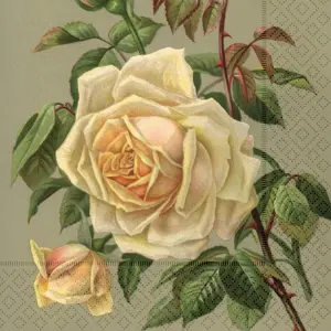 Serviett - rose - 33 x 33 cm - www.frokenfraken.se