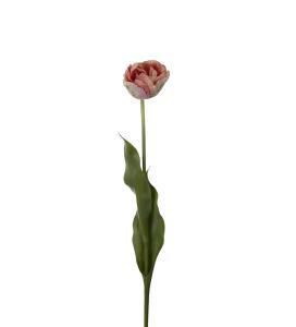 Tulipan - Rosa - 67 cm - www.frokenfraken.se