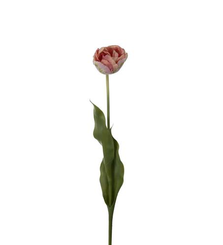 Tulipan - Rosa - 67 cm - www.frokenfraken.se