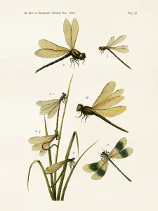 Plakat - Vintage - Sländor - 18 x 24 cm - www.frokenfraken.se