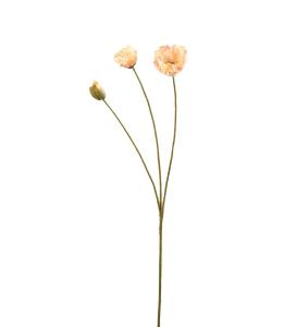 Valmue - Fersken - 75 cm - www.frokenfraken.se