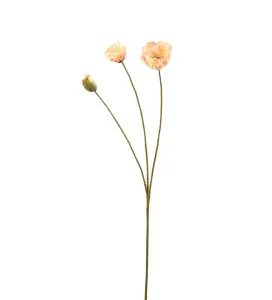 Valmue - Fersken - 75 cm - www.frokenfraken.se