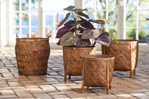 Anthurium - Grønn/rød - 60 cm - www.frokenfraken.se