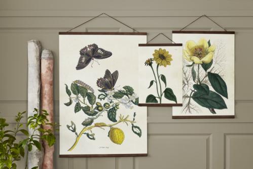 Plakat - Vintage - Gul Peon - 50 x 70 cm - www.frokenfraken.se