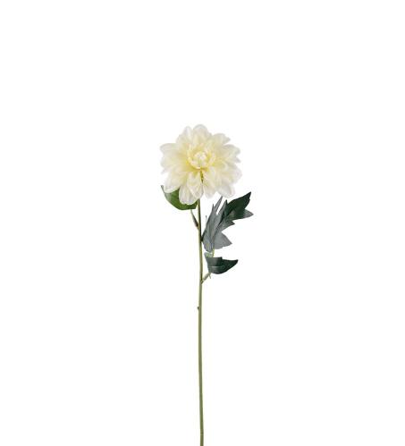 Zinnia - Krem - 45 cm - www.frokenfraken.se