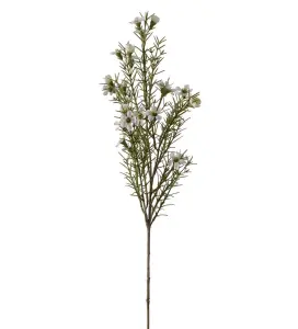 Vaxblomma - Vit - 60 cm - www.frokenfraken.se