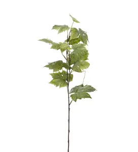 Vinbærkvist - Grønn - 75 cm - www.frokenfraken.se