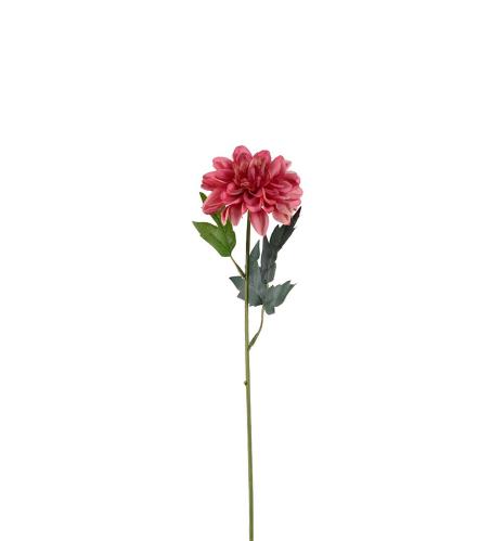 Zinnia - Rosa - 45 cm - www.frokenfraken.se