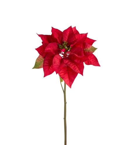 Julstjerne - Rød - 70 cm - www.frokenfraken.se