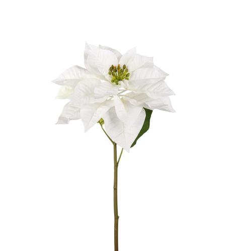 Julstjerne - Hvit - 70 cm - www.frokenfraken.se