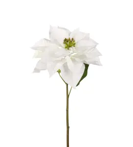 Julstjerne - Hvit - 70 cm - www.frokenfraken.se