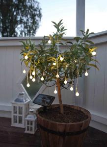 Solcelleslynge - 20 små hvite LED-lys - 4,75 m - www.frokenfraken.se