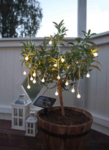 Solcelleslynge - 20 små hvite LED-lys - 4,75 m - www.frokenfraken.se