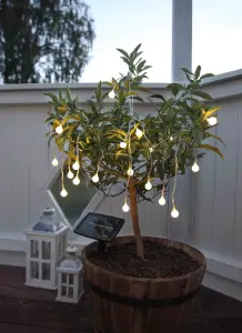 Solcelleslynge - 20 små hvite LED-lys - 4,75 m - www.frokenfraken.se
