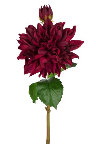 Dahlia - Rød - 70 cm - www.frokenfraken.se