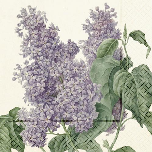 Serviett - Syrin - 33 x 33 cm - www.frokenfraken.se