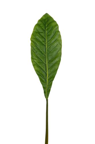 Blad - Grønn - 120 cm - www.frokenfraken.se