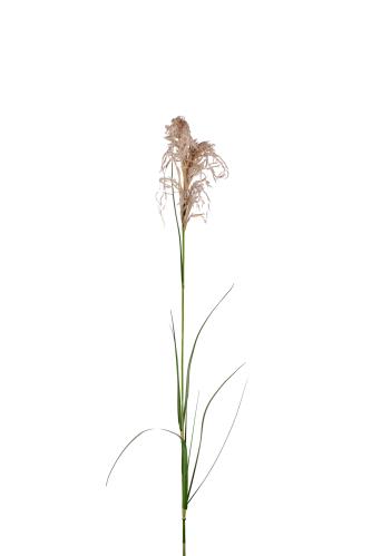 Gress - Grønn - 100 cm - www.frokenfraken.se