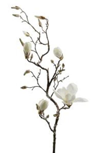 Magnolia - Hvit - 135 cm - www.frokenfraken.se