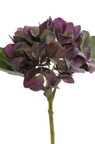 Hortensia - Plomme/Grønn - 25 cm - www.frokenfraken.se