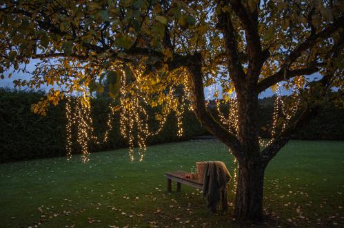 Ljusslinga - Utendørs - 80 stk varm hvit LED - 8 meter - www.frokenfraken.se