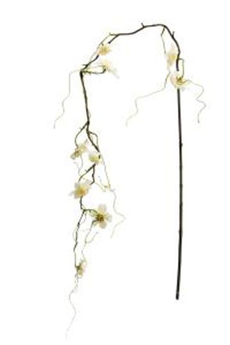 Kirsebærblomst - Hvit - 135 cm - www.frokenfraken.se