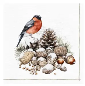 Servietter - Dompap & Kongler - 20 stk - www.frokenfraken.se