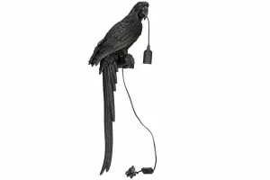 Vegglampe Papegøye Brun/Svart - 75 cm - www.frokenfraken.se