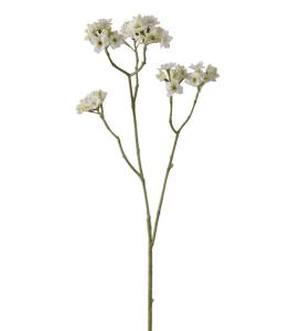 Blomkvist - Vit - 95 cm - www.frokenfraken.se