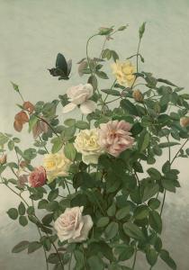 Plakat - Vintage - Rosenbusk - 70 x 100 cm - www.frokenfraken.se