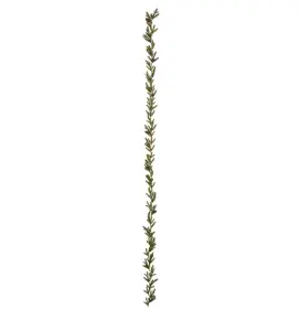 Grangirlang med kottar - Nättare Modell - 180 cm - www.frokenfraken.se