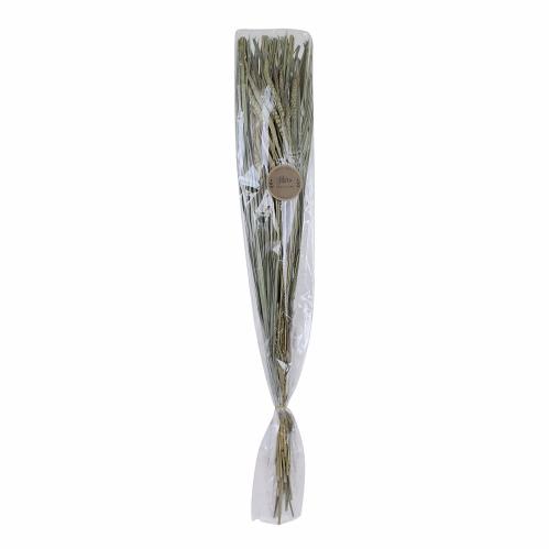 Tørket bukett - Hirs - 55 cm - www.frokenfraken.se