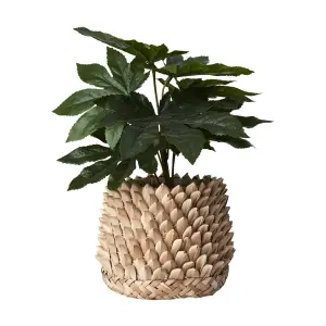 Krukke - Palmblad Natur - Ø17 x 16 cm - www.frokenfraken.se