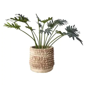 Krukke - Palmblad Natur - Ø26 x 26 cm - www.frokenfraken.se