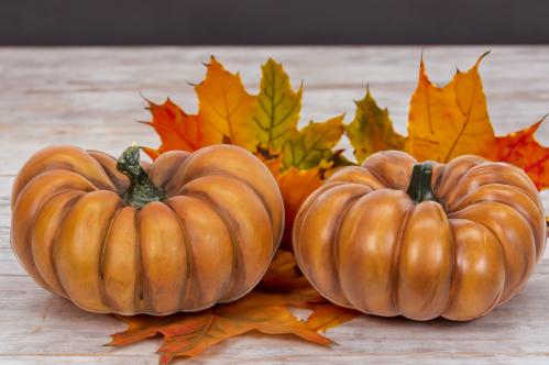 Pumpa - Oransje - Dekorasjon - 20 cm - www.frokenfraken.se