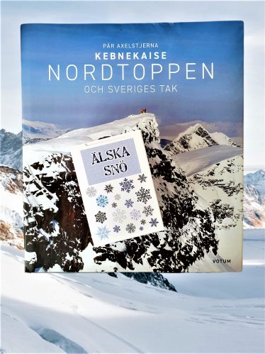 Kortspill - Elsk snø - www.frokenfraken.se